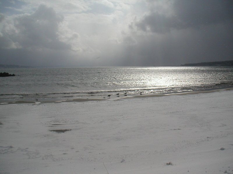20110131-29