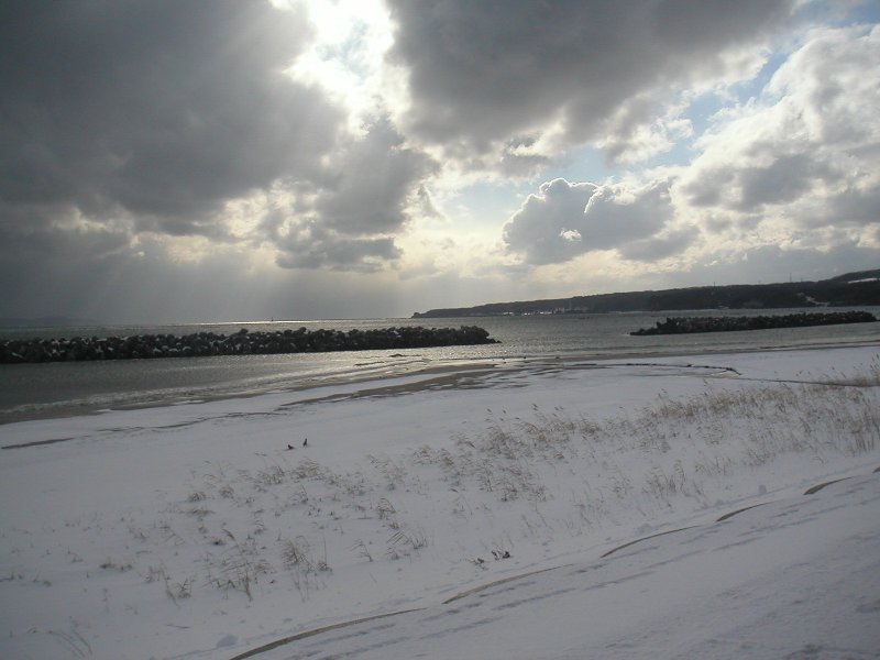 20110131-43