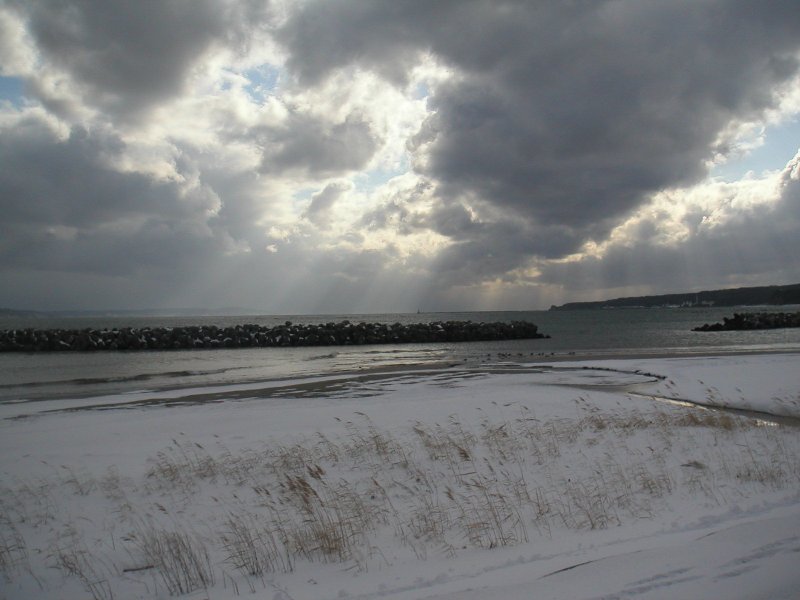 20110131-45