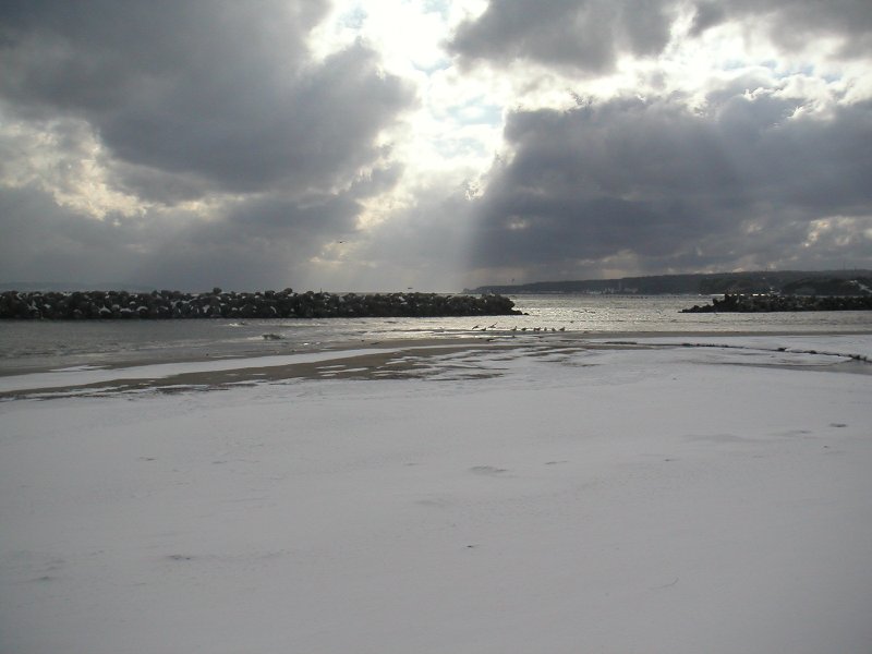 20110131-49
