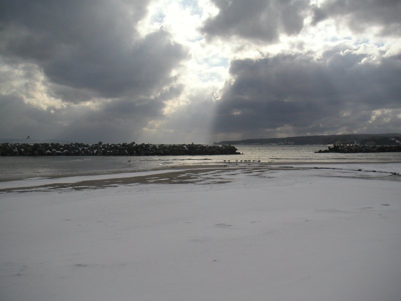 20110131-50