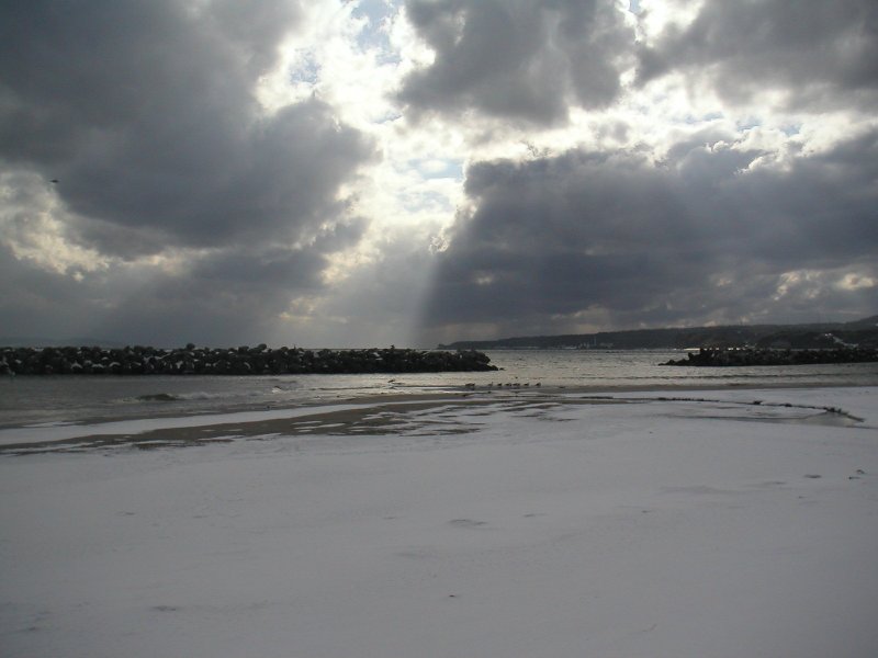 20110131-51