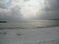 html/20110131-26.html