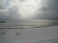 html/20110131-27.html