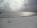 html/20110131-28.html