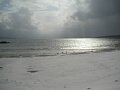 html/20110131-30.html