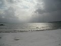 html/20110131-31.html
