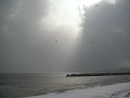 html/20110131-37.html