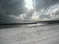 html/20110131-41.html