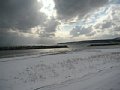 html/20110131-43.html