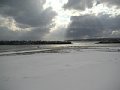 html/20110131-49.html