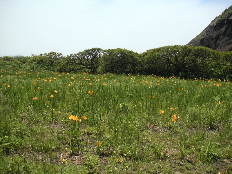 oonogame017