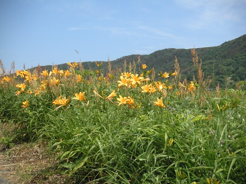 oonogame067
